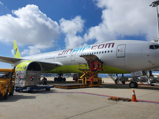 항공화물을 진에어 항공기에 적재하고 있다. 한진 제공